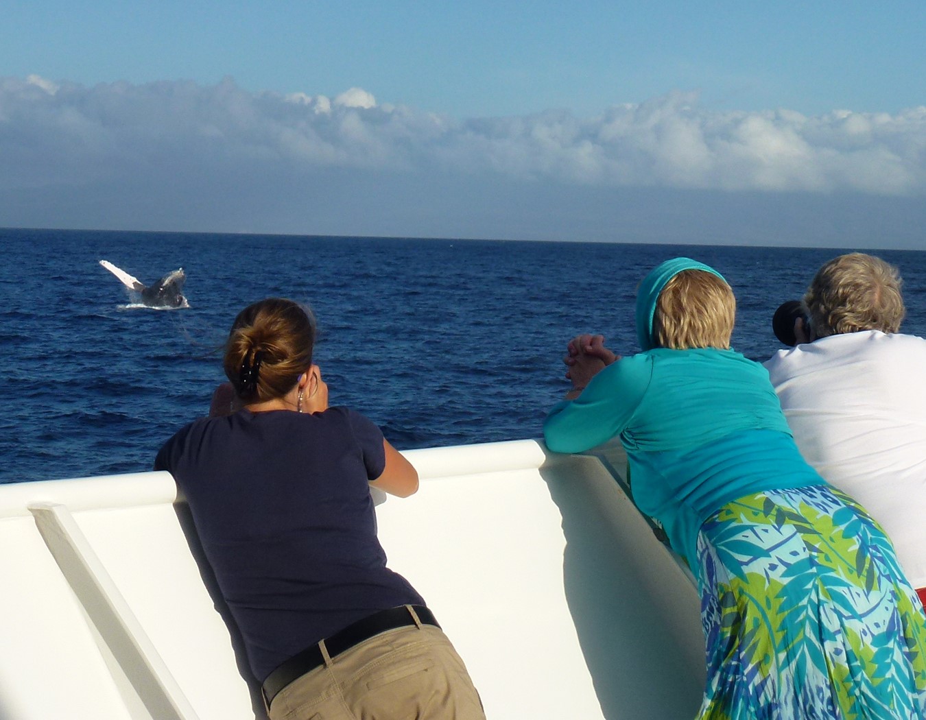 Quick Trip to the Ocean
